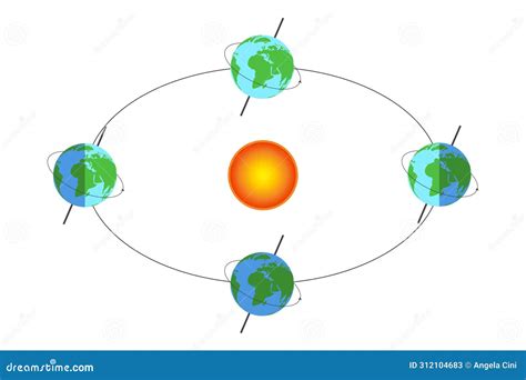 earth  orbit earth rotation   sun isolated illustration