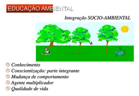 Considerar O Meio Ambiente Em Sua Totalidade Significa Considerar