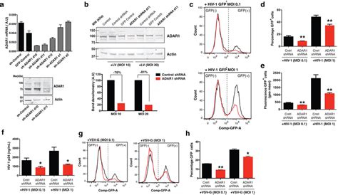 Silencing ADAR1 restricts HIV-1 replication in Jurkat T cells. (a ... 