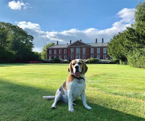 Guests are raving about the Market Bosworth Bosworth Hall stay 21