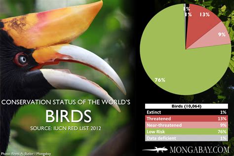 CHART: The world's most endangered birds
