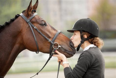 How To Earn Your Horses Trust And 3 Ways You Could Lose It