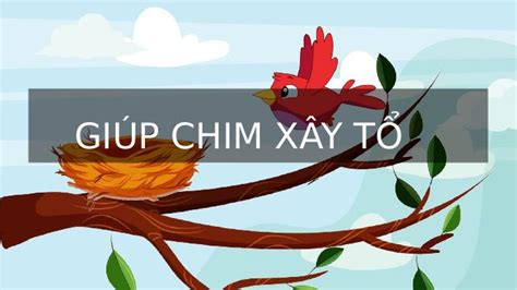 tuan  ve chim tap   nguyen phan lam thu vien bai giang dien tu