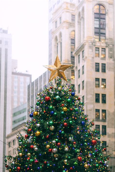 Cu L Es El Origen De La Estrella Del Rbol De Navidad Y Cu Ndo Se