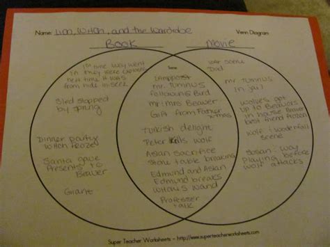 Venn Diagram 30 Differences Between The Outsiders Movie And