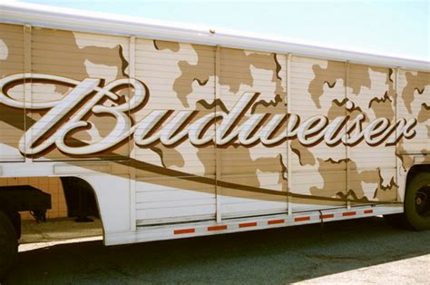 Budweiser Camo Beer For Outdoor Fun