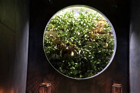 Экосертифицированный Amoveo Spa: релакс для двоих - LookBio Organic ...