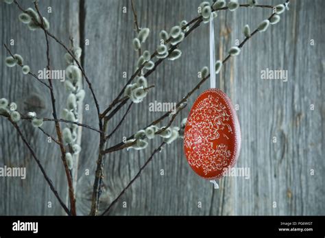 Hand Painted Easter Egg Hanging From Pussy Willow Twigs Stock Photo Alamy