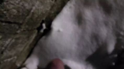 Daddy Pissing Outside For His Cunts Gay Porn XHamster XHamster