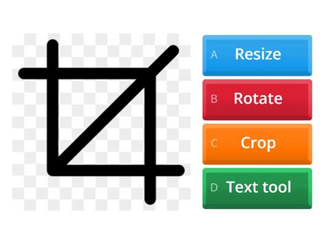 Exploring MS Paint - Quiz