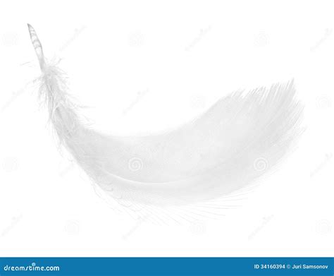 White Feather On Red Rock In Australia Royalty Free Stock Photography