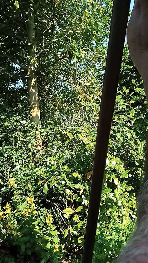 The Naked Gardener XHamster