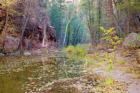 Az Arizona Oak Creek Canyon Coconino National Forest West Fork Of Oak Creek In Fall Stock