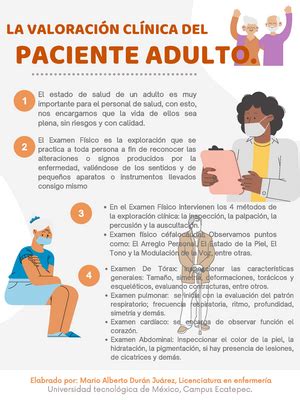 Características de las 3 etapas de la vida adulta Características de