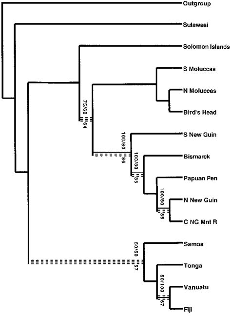 Area Cladogram For Cosmopsaltriina Majority Rule Consensus Of All