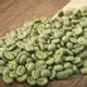 single origin green coffee beans   home roaster quest coffee
