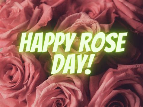 Rose Day Wishes Happy Rose Day 2021 Wishes Images Quotes Whatsapp