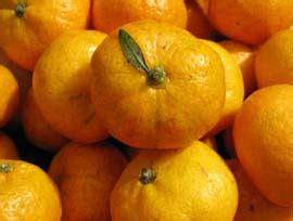 Kiat-kiat / Mandarin Oranges - Market Manila