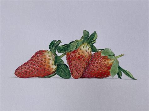 Strawberries Drawing Drawing By Marie Noëlle Erasmus Saatchi Art