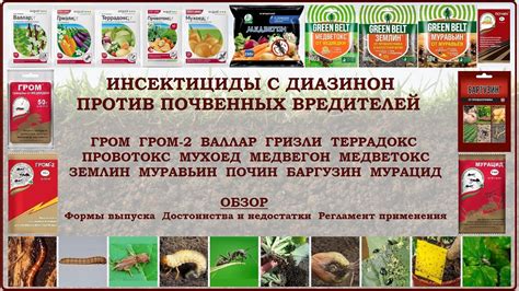 Средства против медведки, проволочника, хруща на основе диазинон: Гром ...
