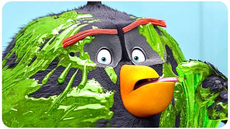 Angry Birds 2 Funniest Scenes 4k ᴴᴰ Youtube