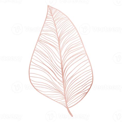 Rose Gold Metallic Leaf Outlined 13214914 Png