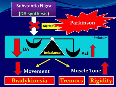 Antiparkinsonian Drugs Full Lecture Ppt
