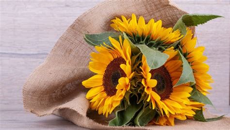 Flores para homens: 13 opções para presentear