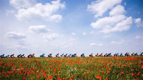 Omloop Van Het Houtland Il Percorso Altimetria E Planimetria