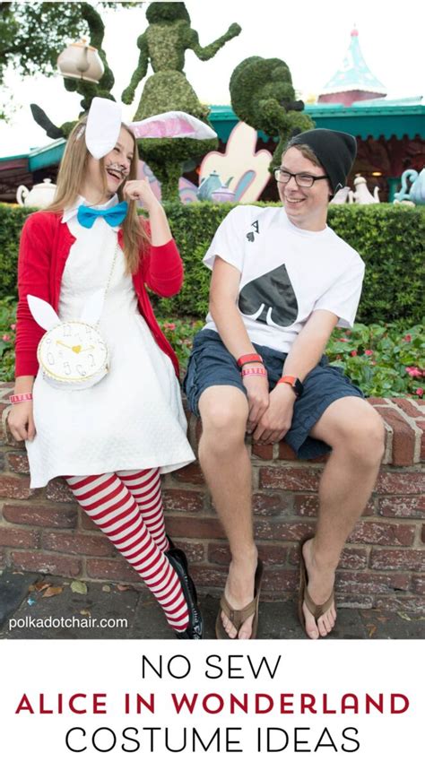 Alice In Wonderland Character Costumes For Men