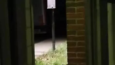 Kurzer Wixx Auf Der Autobahn Gay Porn Xhamster