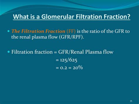 Ppt Glomerular Filtration Powerpoint Presentation Free Download Id