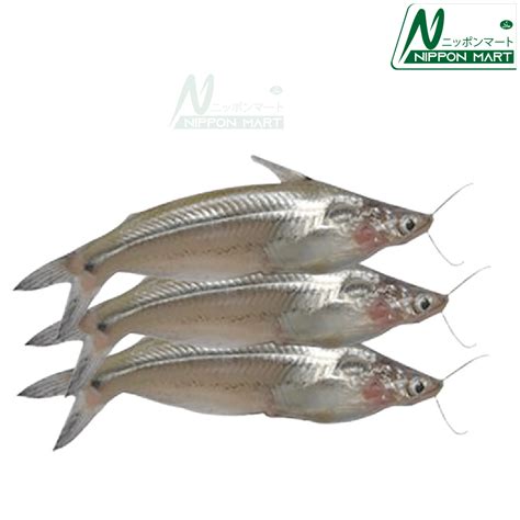 Batashi Fish Nippon Mart