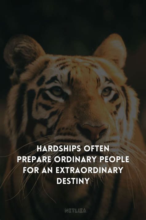 motive  motivation  motive  stay motivated artofit