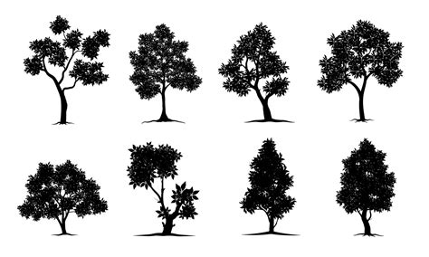 Black Branch Tree Or Naked Trees Silhouettes Set Hand Drawn Isolated Illustrations