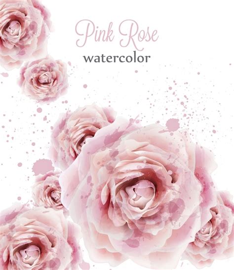 Premium Vector Watercolor Pink Roses