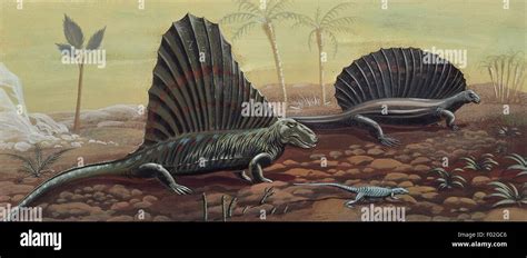 Prehistoric Reptiles Illustration Stock Photo Alamy