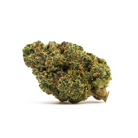 Business reports help explain the Good Day Farm Caruthersville MO model 39