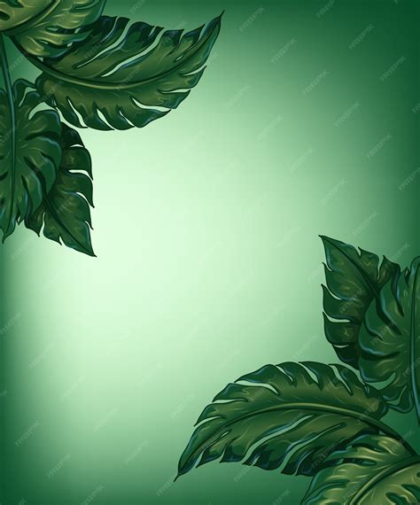 vector greenery leaves