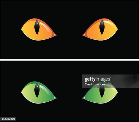 Animals Eyes At Night Photos and Premium High Res Pictures - Getty Images