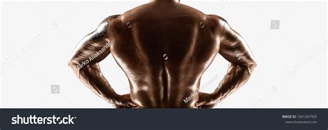Hat Site Male Bodybuilders Naked Torso Stock Photo Shutterstock