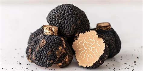 Truffles types | Truffle Oil: A Luxurious Culinary Elixir