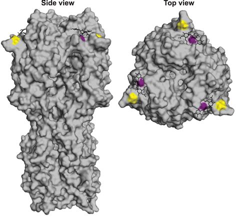 Single Hemagglutinin Mutations That Alter Both Antigenicity And