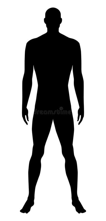 Naked Standing Man Stock Vector Illustration Of People 18562135