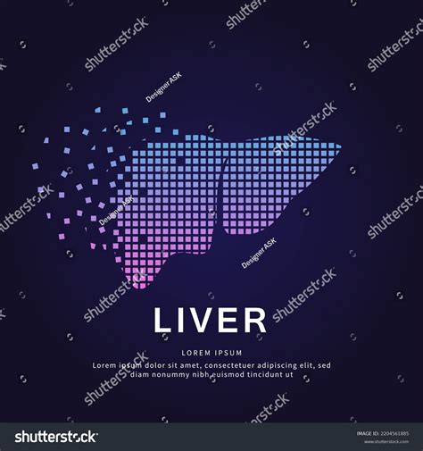 Human Liver Medical Structure Creative Simple