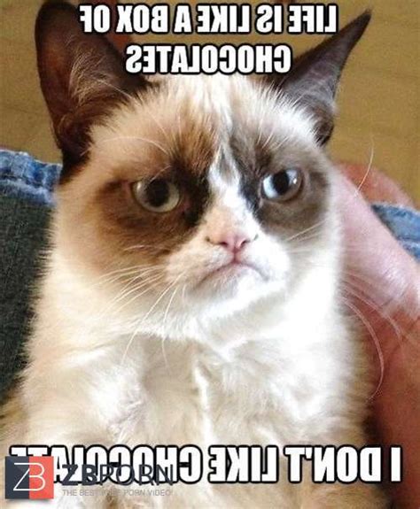 Some Grumpy Vagina And Xmas Jokes ZB Porn