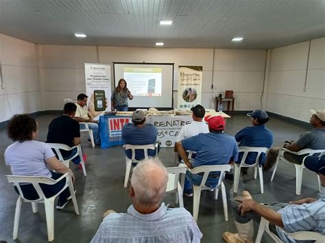 Se Fortalece El Sector Yerbatero En Misiones Con Las Capacitaci N Del