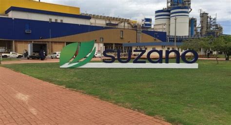 Suzano a maior produtora de celulose de eucalipto do mundo irá