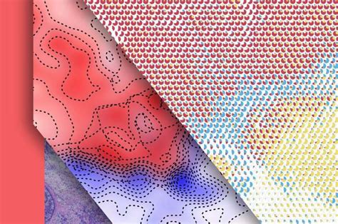 Novel AI method identifies locations, interactions among genes in and ...