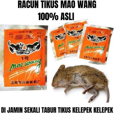 Perangkap Tikus Jebakan Tikus Jepit Automatis Mouse Trap Pest Control